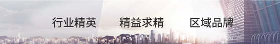 行业精英精益求精区域品牌