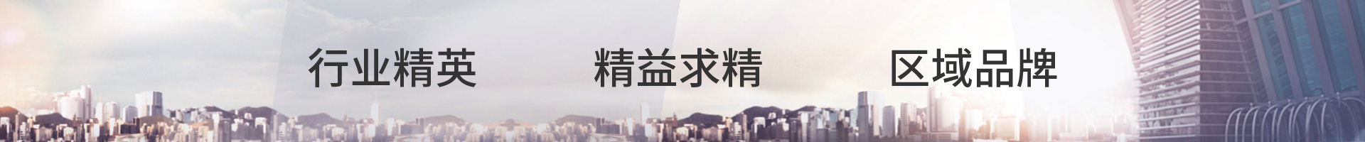 行业精英精益求精区域品牌
