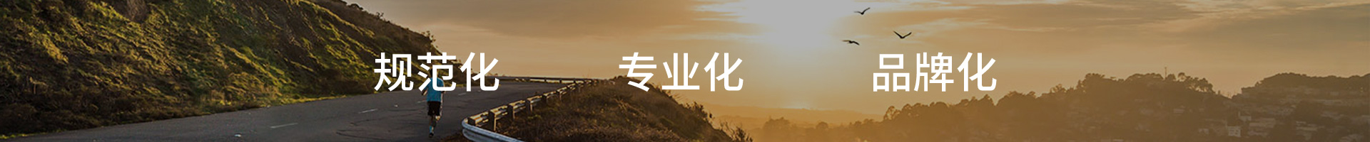 规范化专业化品牌化