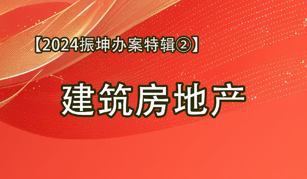 【2024振坤办案特辑②：建筑房地产】重大案件的博弈，除了专业，还有毅力……