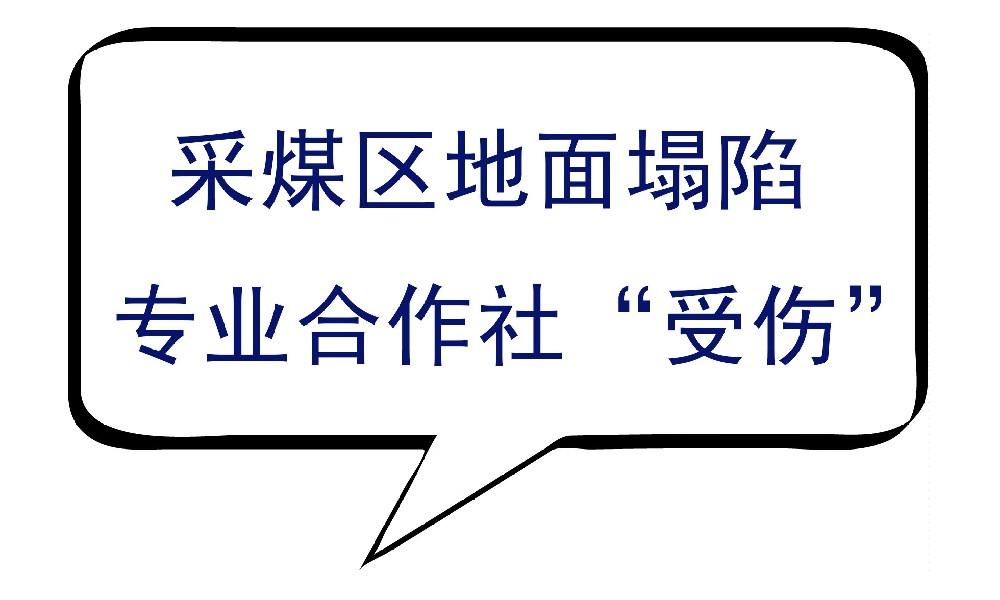 振坤律师帮合作社争取赔偿款近400万元