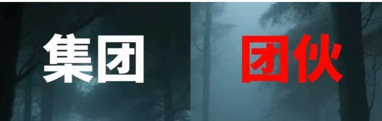 某涉黑刑事案件：一字之差，结果不同！